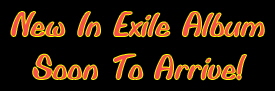 New In Exile Release Banner