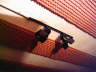 One Light Pair